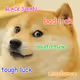 DOGE