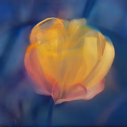 Rainbow Zorb Magnolia Chaos