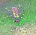Leafy Footys