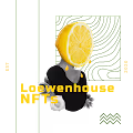 Loewenhouse Art