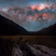 Drops- Paul Wilson