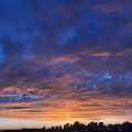 I Live Here in Istanbul
