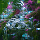 PSYCHEDELIC FUTURES - old