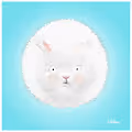 Fluffybits