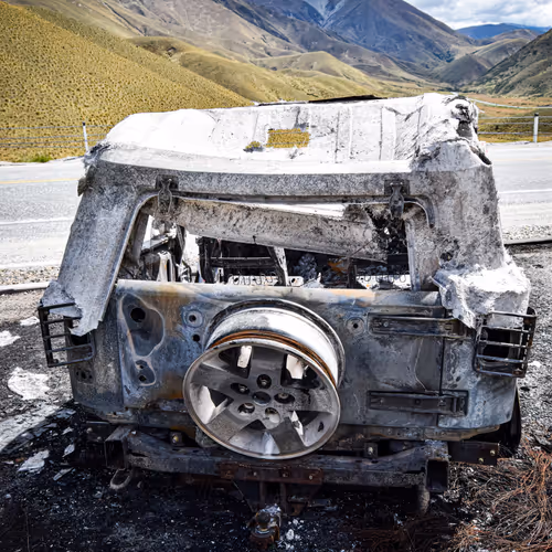 New Zealand Snapshot