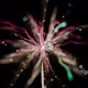LakeMotosuko_Firework