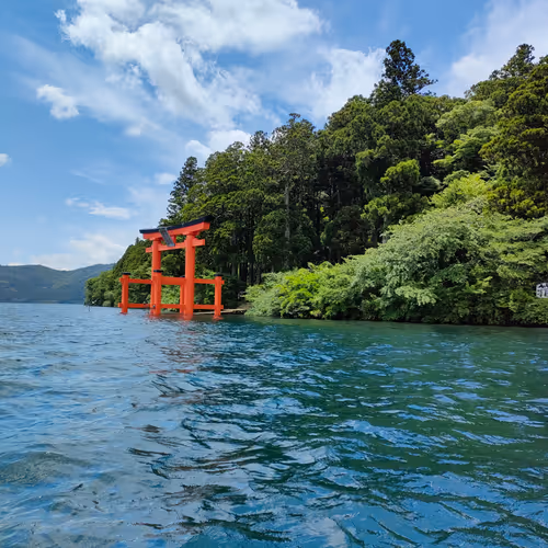 cool ninja collection