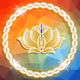 CryptoLotus Cards