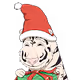 Santa Tigers 2022