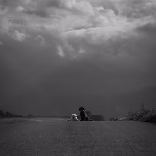 Flavio Reber Editions