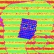 ACID - CHECKS PEPE Edition