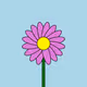 Spring Flowers