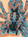 Psychedelic Beasties