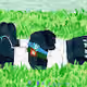 My money grows like grass