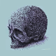 PXL SKULL RELICS