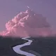 My Pink & Purple World