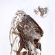 Randomized Painting