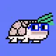 CrypTurtlez