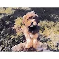 ArteyMano. Little Balu
