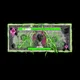Dead Presidents