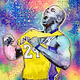MTLE MAMBA Collection #32071503