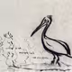 Pelikan