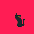 Serious tiny cats