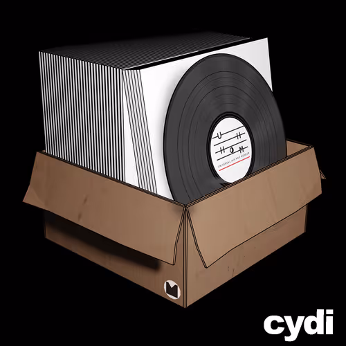 CYDI - Can You Dig It?