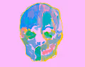Living Color Skulls