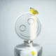 Pillhead: Originals