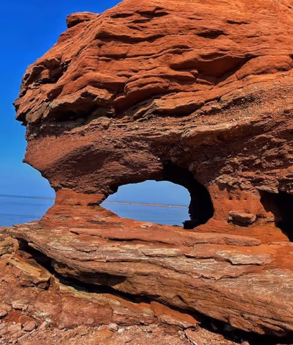 Life Through My Camera Roll