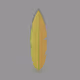 Crypto Feathers