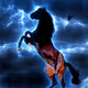 horse#2003