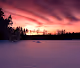 Arctic Splendor
