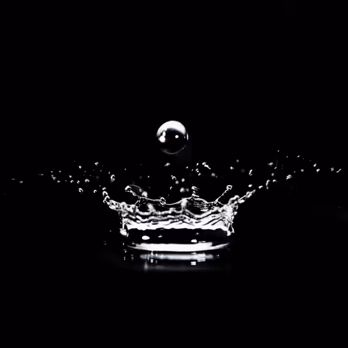 Monochrome Liquid Art