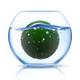 marimo.life