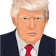 TRUMP PUNKS