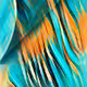 Abstractartsy