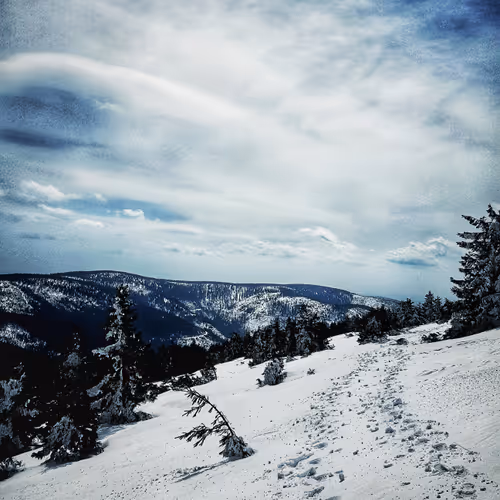 JackBeatnic Collection