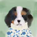 dogs wearing turtlenecks