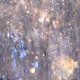 mitsuhiko kamada NFT collection