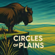 Circles of Plains