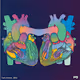 TOOG Twin Hearts, 2022