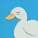 Drowsy Duck