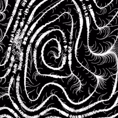 NICO23 SPECIAL EDITIONS