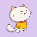 Everyday Meow