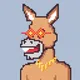 GNAR DONKS