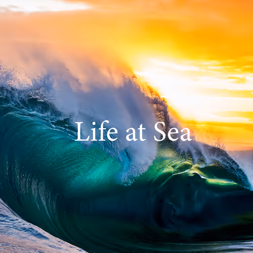 Life at Sea -