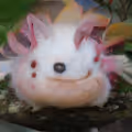 W1gglyTuff