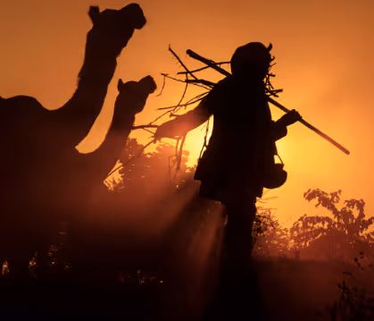 Into the Light - CS87jLmcX6